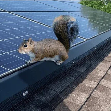 Jak chránit solární panely před veverkami?
